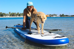 Paddle Boarding with Pets – A Fun and Safe Adventure