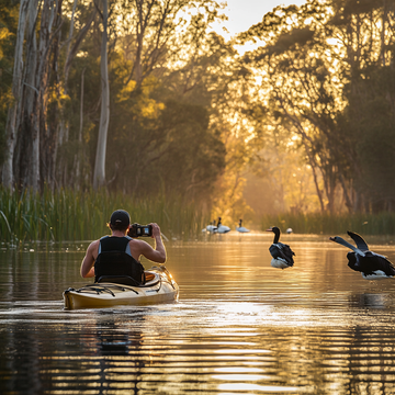 Kayak photography of wildlife